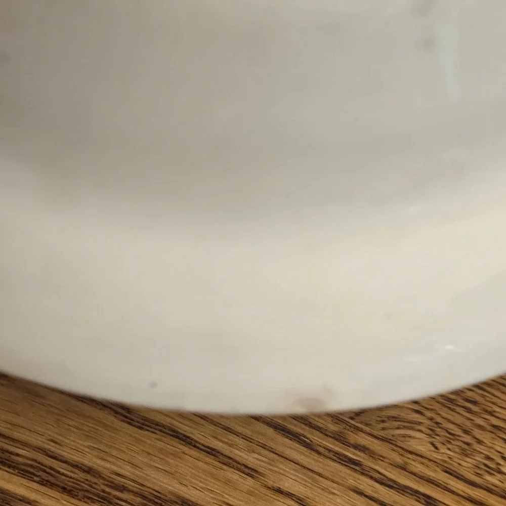 American Limoges Golden Princess Soup Bowl 22K Gold Trim Floral 8.5 Inch Vintage
